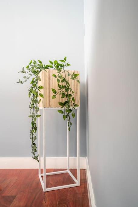 The Green House Of Stavanger Bnb 14 -Central, Sauna And Airport Shuttle Extérieur photo